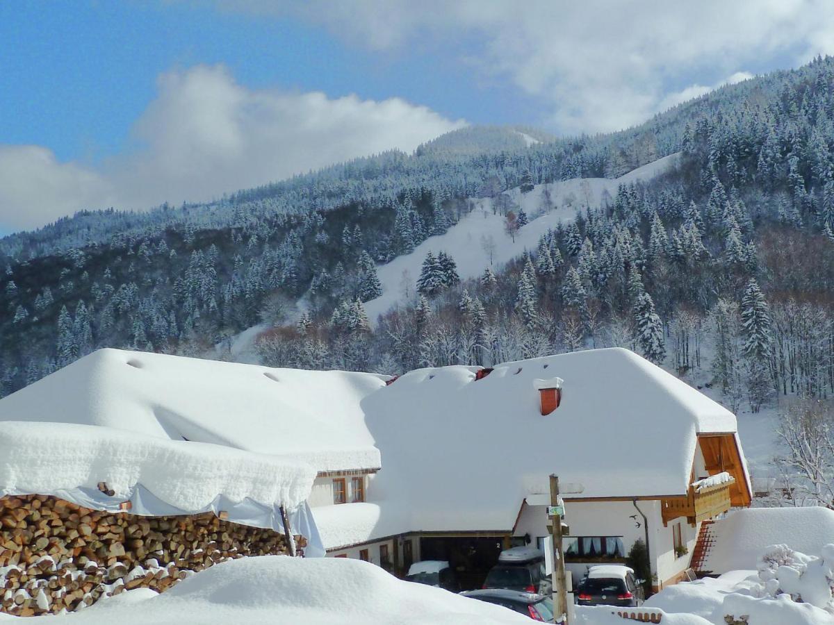 Apartment In Brandenberg With Terrace Todtnau Rum bild