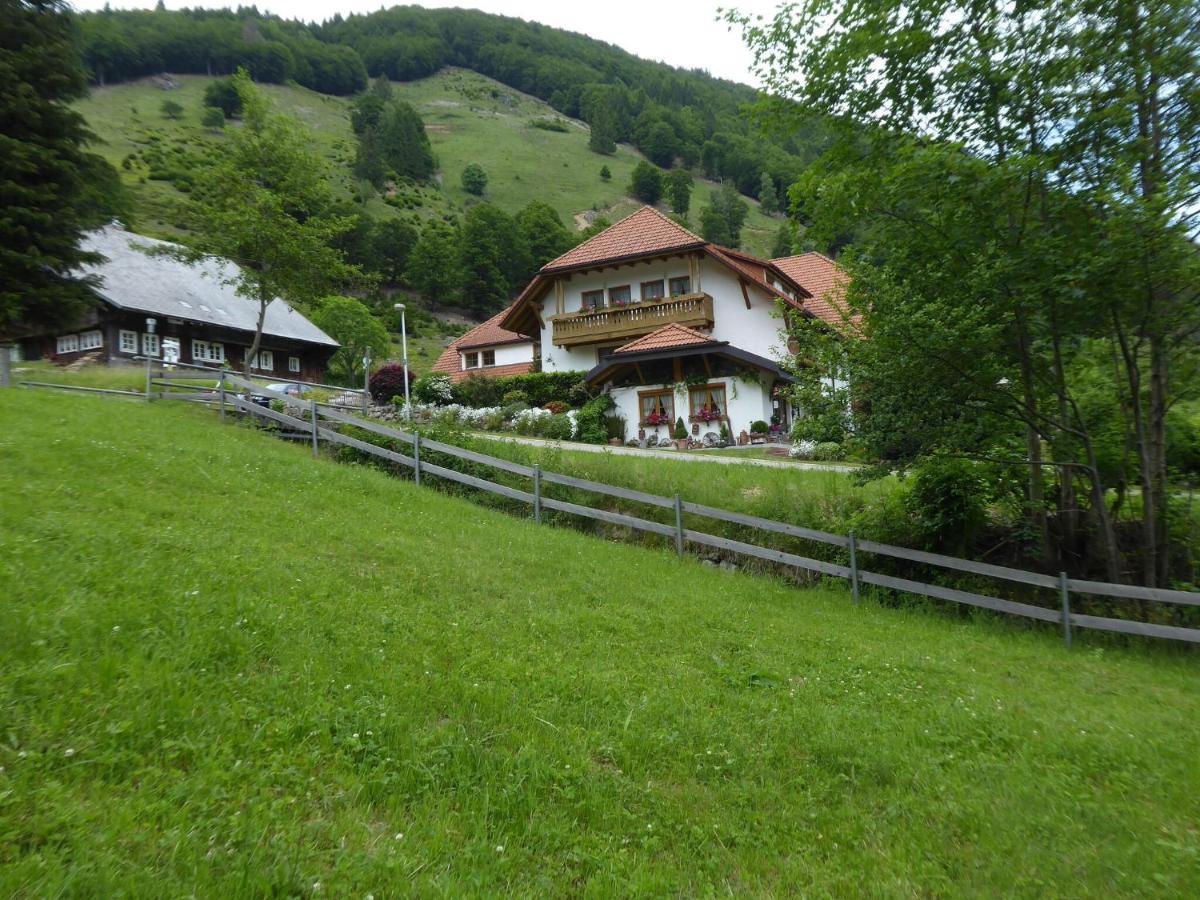 Apartment In Brandenberg With Terrace Todtnau Exteriör bild